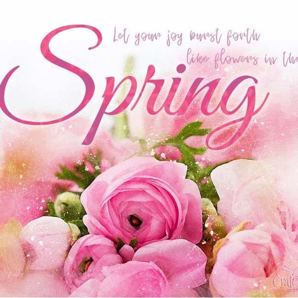 SPRING SALE 🌷 30% off 2+ items! Discount at checkout 🌷 - Picture 2 of 7